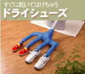 �ɥ饤���塼��