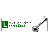 ���ԥ����ʥ�֥�åȡ�