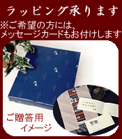 ��åԥ󥰤ˤĤ��Ƥϡ�������