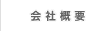 ��ҳ���