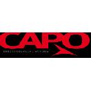 ���ݡ�CAPO��
