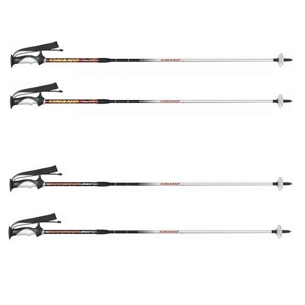 MSP SKI POLE