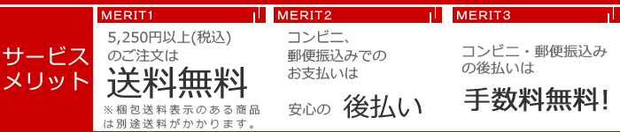 ���������륷��åפΥ����ӥ����å�
