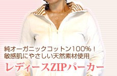 ��ǥ�����ZIP�ѡ�����