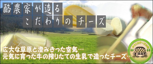 �����Ȥ�¤�뤳�����Υ��������椦���Υ���������