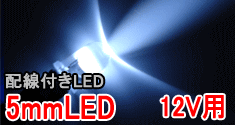 �����դ�LED��5mm��12V