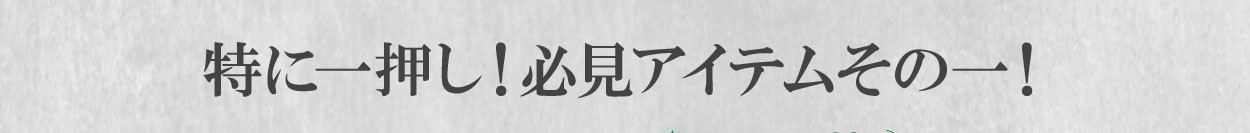 特に一押し!必見アイテムその一!