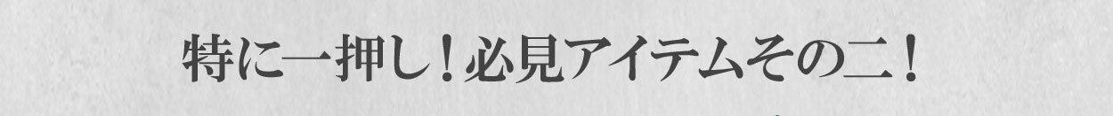 特に一押し!必見アイテムその二!