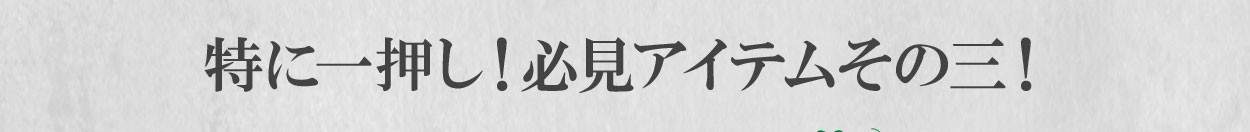 特に一押し!必見アイテムその三!