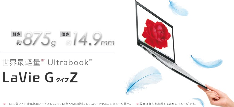 LaVie G タイプZ (NECダイレクトショップ)