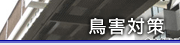 Ļ���к�