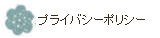 �ץ饤�Х����ݥꥷ��