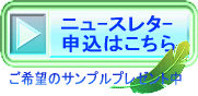 �˥塼���쥿����������
