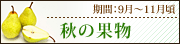 ���β�ʪ