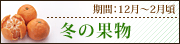 �ߤβ�ʪ