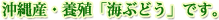 ���컺���ܿ��ֳ��֤ɤ��פǤ���