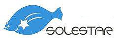 �����륹���� solestar