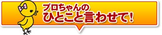 手羽先 広島/尾道 オオニシ
