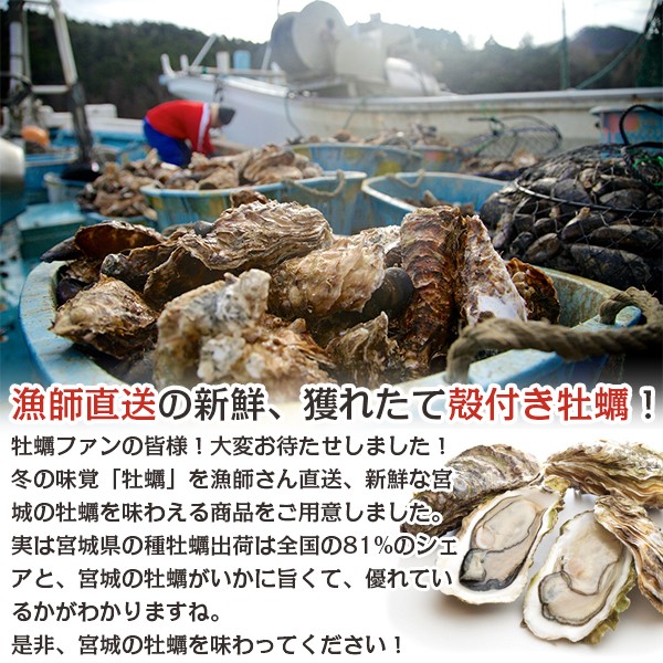 産直!殻付き牡蠣 特集 産直!殻付き牡蠣 特集