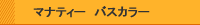 �ޥʥƥ������Х����顼