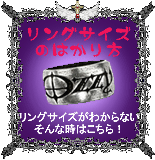 ��󥰥��������狼��ʤ�...����ʻ��Ϥ����餫��