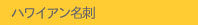 �ϥ磻����̾��