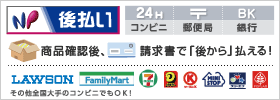 NP��ʧ���ʥ���ӥˡ�