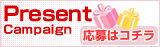 �ץ쥼��ȥ����ڡ��󳫺��桪������ϥ�����