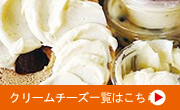 �١�����䥷��ץ�ѥ�Ȱ���