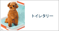 �ȥ��쥿�꡼������ǭ��