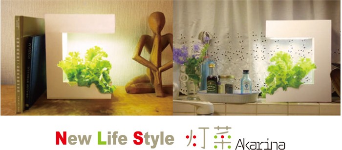 New Life Style 灯菜 Akarina