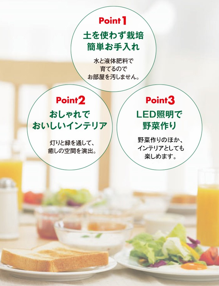 Akarina3つのポイント