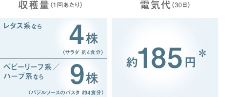 省エネでECO