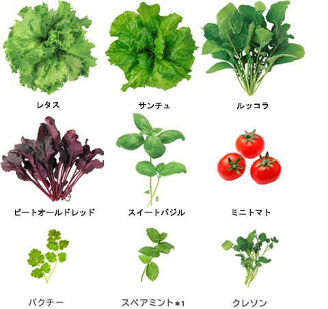 育てられる野菜の種類
