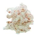 KKC ǭ�� �����̣�ۤ����� 20g/40g