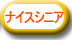 �ʥ������˥�