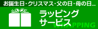 �������������ꥹ�ޥ����������������ġڥ�åԥ󥰥����ӥ���