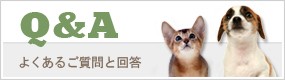 �褯�������Ȳ���