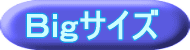 �礭���������ң£�祵������