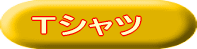 ��ǥ������ԥ����