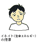 ���ͥ��ȡ���̿���ͥ륮���ˤ�����