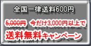 3000�߰ʾ������̵����
