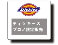 Dickies,DIC,����ꥫ,���������,�ǥ��å�����,874,���Υѥ�