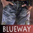 BLUE WAY��