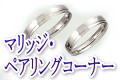 �֥饤���륳���ʡ��Ϥ�����