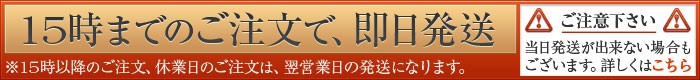 15���ޤǤΤ���ʸ�ǡ�¨��ȯ��