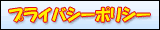 �ץ饤�Х����ݥꥷ��