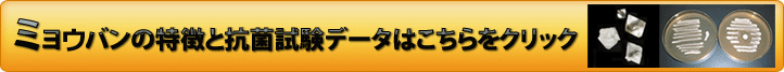 ���ݻ�ǡ���