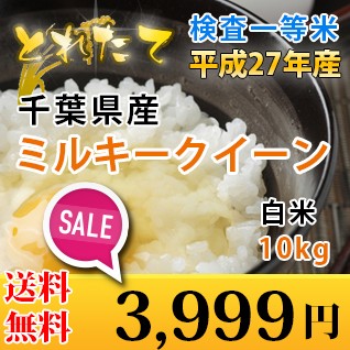 限定販売