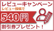 ��ӥ塼�����ڡ��󳫺�